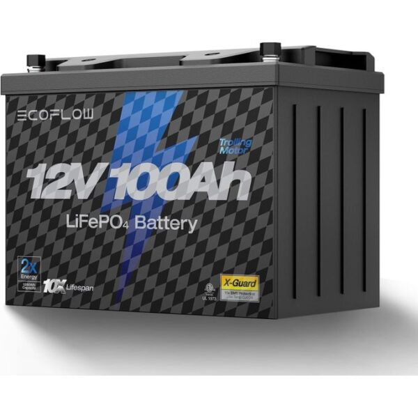 ECOFLOW 12V 100Ah LiFePO4 Battery, Built-In 100A BMS