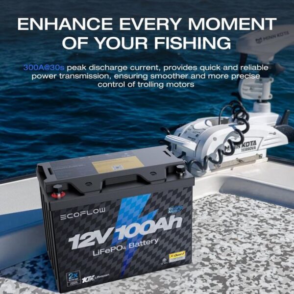 ECOFLOW 12V 100Ah LiFePO4 Battery, Built-In 100A BMS - Image 8