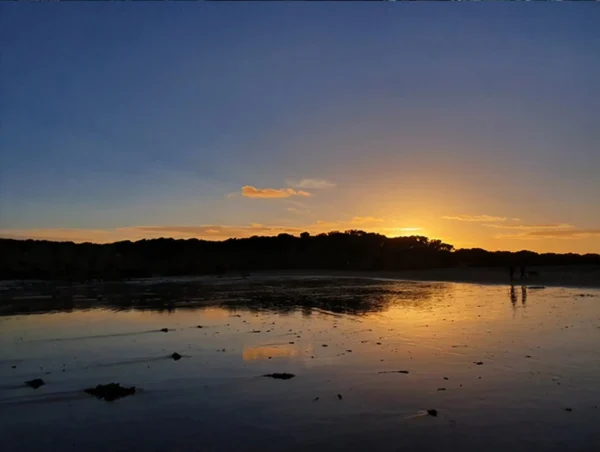 Samsung S10e - Image 12