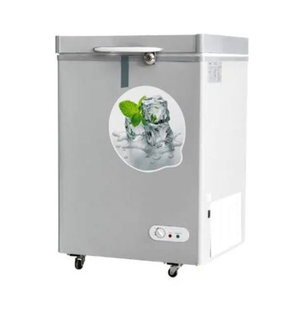 118L Bona Solar Freezer