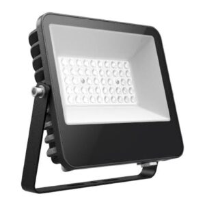 Flood Light